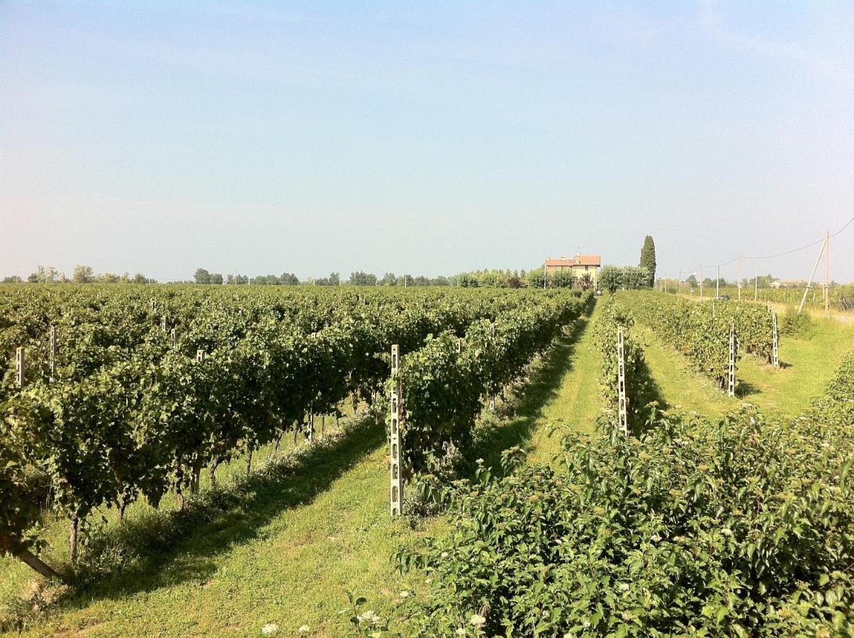 Cascina Tabachera X10 Country House Sirmione Garda Lake Pozzolengo Szoba fotó